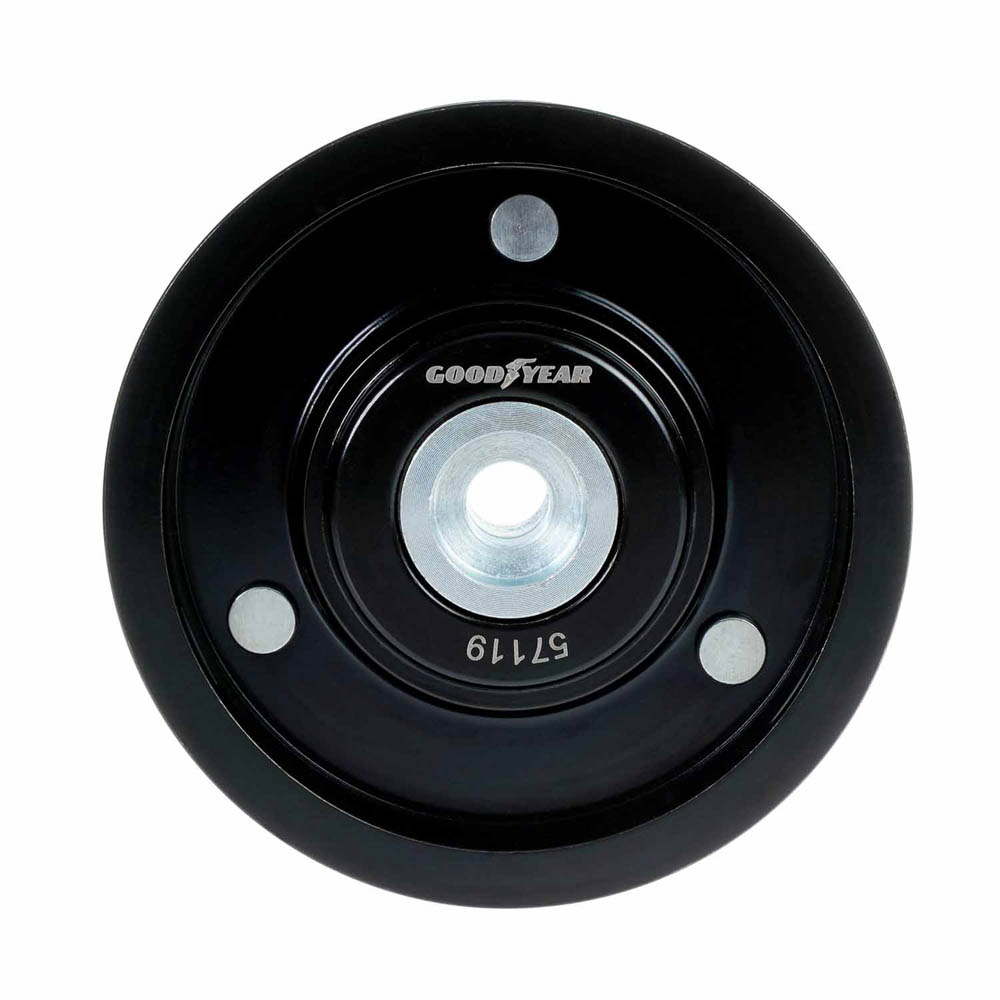  freightliner  Accessory Drive Belt Idler Pulley 