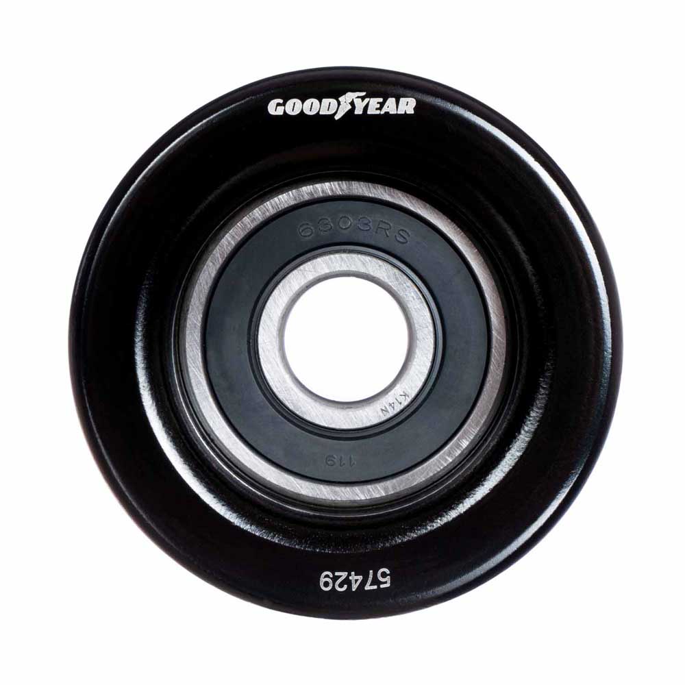  freightliner Columbia Accessory Drive Belt Idler Pulley 