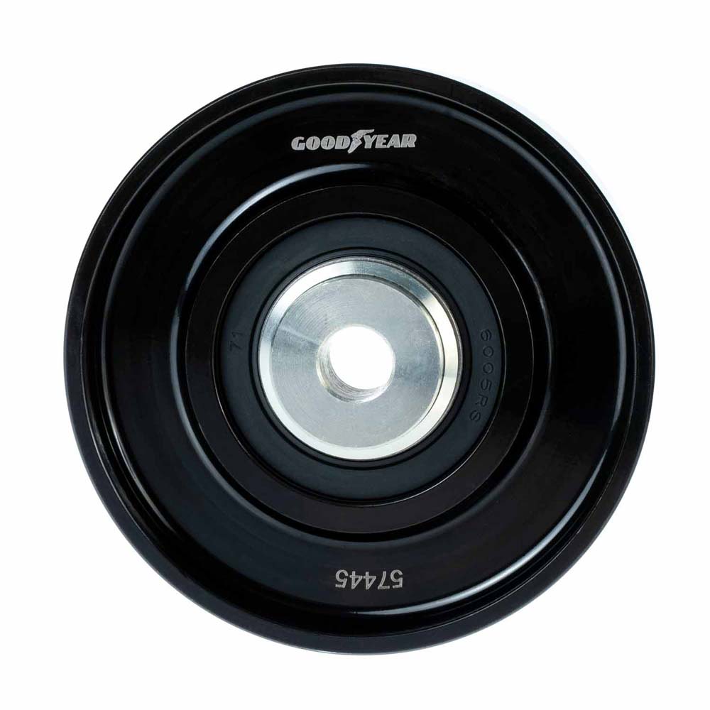  chevrolet Tracker Accessory Drive Belt Idler Pulley 