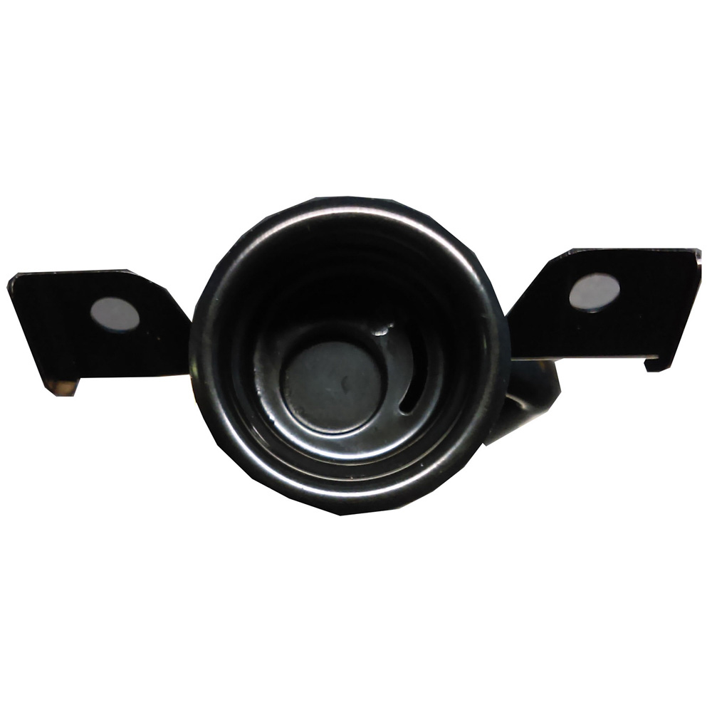  chevrolet Caprice Fuel Filler Neck 