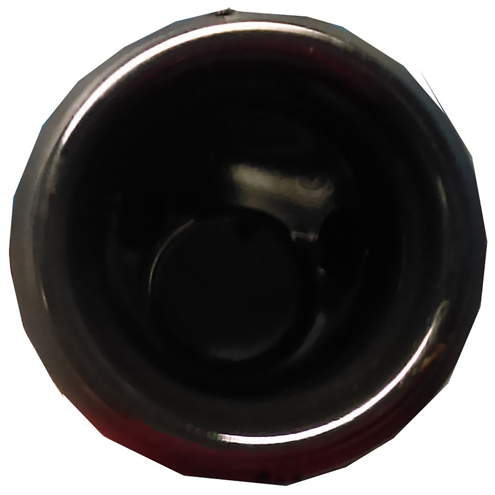  toyota RAV4 Fuel Filler Neck 