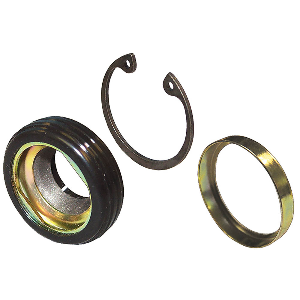  chevrolet Classic A/C Compressor Shaft Seal Kit 